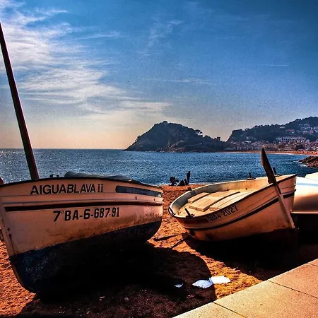 Apartment Lets Holidays Sea Views & Pool In Sa Gabarra Tossa de Mar